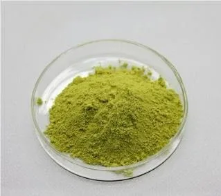 Rutin 95% 98% Sophora Japonica Extract DAB USP Ep CAS 153-18-4