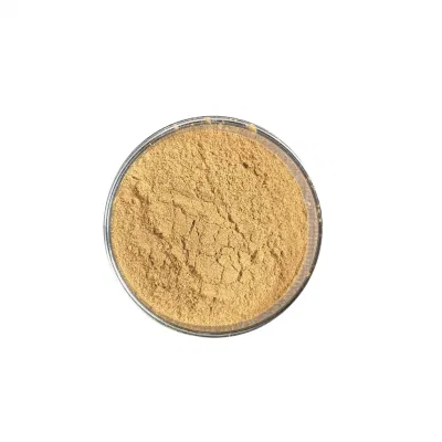 Flax Seed Extract 10: 1 Secoisolariciresinol Diglucosi Powder