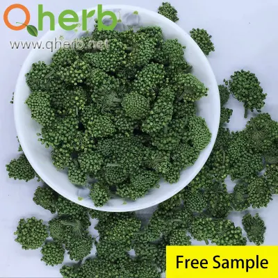 Ginsenoside Rb1 Notoginseng Root Extract HPLC Free Sample