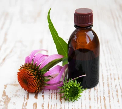 4% Cichoric Acid by HPLC Water Fully Soluble Echinacea Extract Without Any Residue