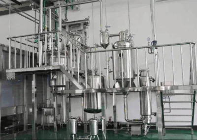 100% Natural Echinacea Purpurea Extract 1%-4% Cichoric Acid