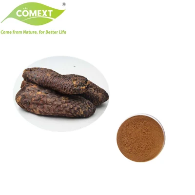 Comext Factory OEM 1-45% Echinacoside 1-20% Acteoside Plant Extract Cistanche Tubulosa Powder