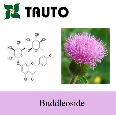 ISO Certified Cephalanoplos Extract 98% Buddleoside 480-36-4 Natural Ingredient Intermediate
