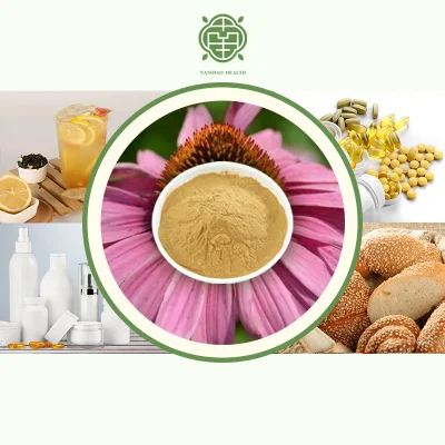 Nanqiao Factory High Quality Purple Daisy Extract Powder Polyphenols 4%-10% Cichoric Acid 2%-8%