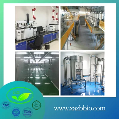 Xazb Manufacturer Wholesale Price Natural Food Coloring Powder Safflower Yellow