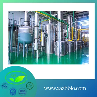 Xazb Manufacturer Wholesale Price Natural Food Coloring Powder Safflower Yellow