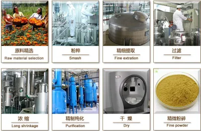 Astragalin Astragalus Root Extract Membranaceus Astragaloside