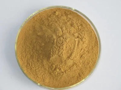Astragalus Root Extract Powder 83207-58-3 Astragaloside a 5% to 98%