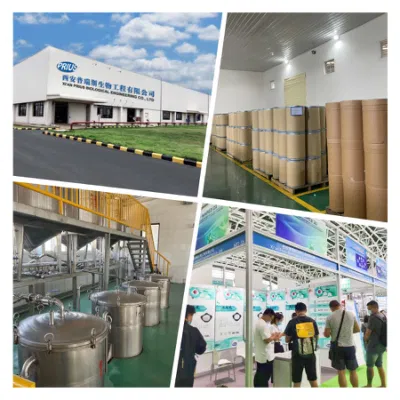 Organic Astragalus Root Extracts Astragaloside IV 1%-60%