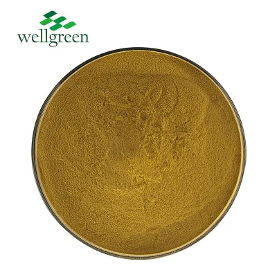 Free Sample Chinese Herb Astragaloside Powder 10: 1 Root Astragalus Membranaceus Extract