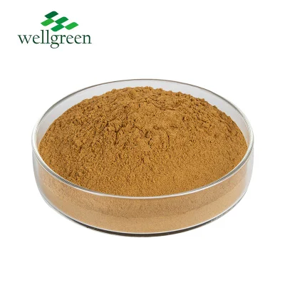 High Quality Harpagophytum Procumbens Extract Powder 10% De Devils Claw Harpagosides Harpagoside
