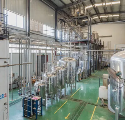 Factory Supply Echinacea Extract with Cichoric Acid 1~4%