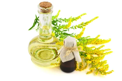 Health Products Anti-Bacterial Plant Extract Goldenrod Extract Powder 10: 1 Goldenrod Extract