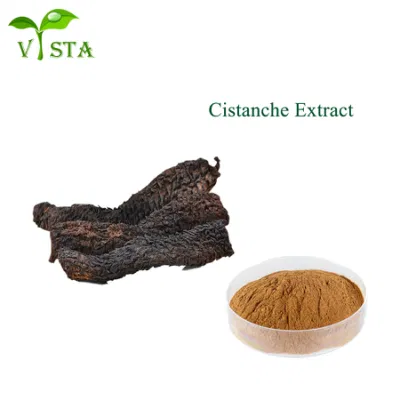 100% Natural Cistanche Tubulosa Extract Cistanche Root Cistanche Extract Plant Extract for Sexual Improvement