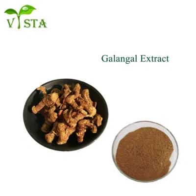 100% Natural High Putiry Wholesale Plant Extract Galangal Extract with 98% Galangin