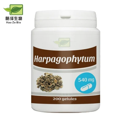 Factory Price CAS 19210-12-9 Devil Claw Extract Harpagoside