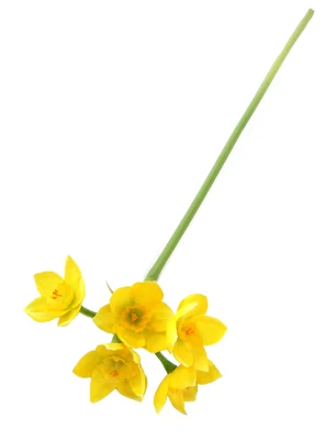 Wholesale Artificial Narcissus Stem 35CMH Silk Narcissus High Quality Artificial Flowers