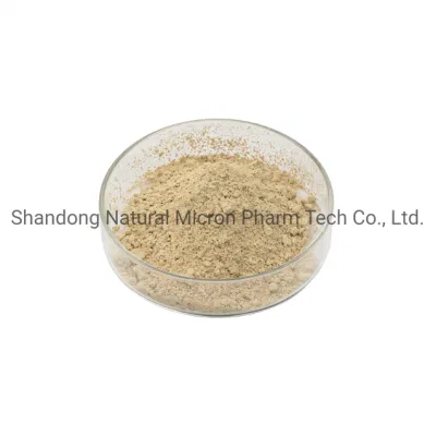 Plant Source Panax Notoginseng Extract Panax Notoginsenoside 10-80%