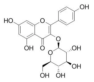 ISO Certified Reference Material 98% &nbsp;Astragalin/Kaempferol 3-Glucoside 480-10-4 Standard Reagent