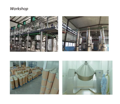 Pure Natural Herbal Extract 0.3%~98% Astragaloside Astragalin Balcalin Astragalus Root Extract