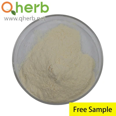  5% Notoginsenoside R1 Notoginseng Triterpenes