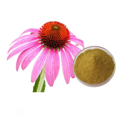 Pure Echinacea Extract 4% Polyphenols by UV or by HPLC
