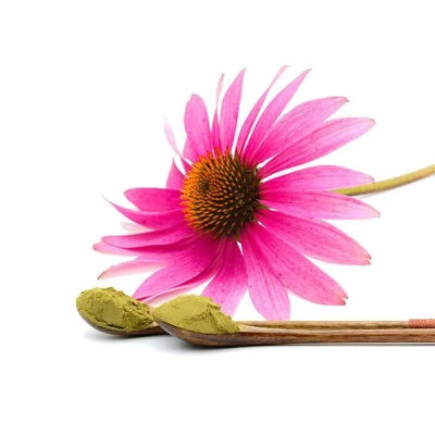 Pure Echinacea Extract 4% Polyphenols by UV or by HPLC