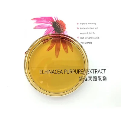 Pure Echinacea Extract 4% Polyphenols by UV or by HPLC