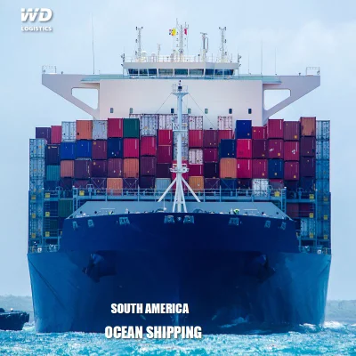 Sea Shipping Agent From China to Turkmenistan Bangladesh Uzbekistan Kabul Sea Freight Service Logistic Container