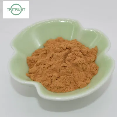 Factory Forsythin Natural Forsythia Powder Forsythia Suspensa Extract Forsythin 2% Forsythia Extract