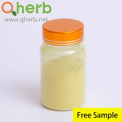 Herbal Extract 95% HPLC CAS 117-39-5 Quercetin Dihydrate