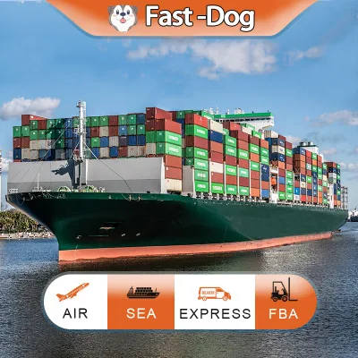 Drop Shipping Cheapest FCL LCL Cargo Shipment by Cargo Shipping China to Philippines Brunei Afghanistan Kabul UAE