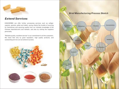 Echinacea Purpurea Extract Polyphenols Cichoric Acid
