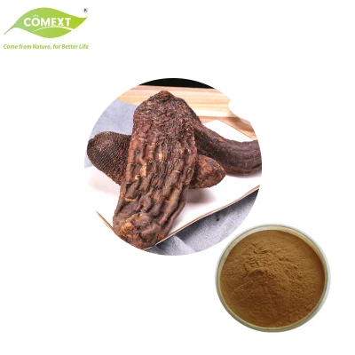 Free Sample Plant Extract Verbascoside Echinacoside Cistanche Tubulosa Extract