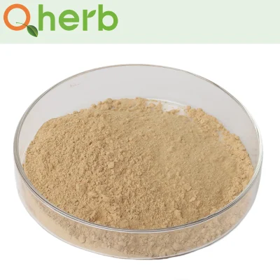 Halal Certificate Non-GMO 100% Natural Plant Isoflavone Powder Soybean Seed Extract