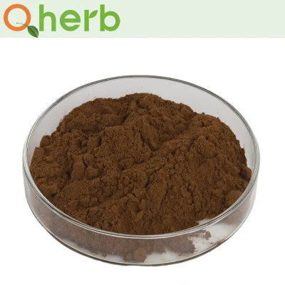 Beta Sitosterol Urtica Dioica Stinging Nettle Root Extract 10: 1 in Bulk with High Quality Plant Herbal