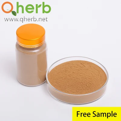 Seabuckthorn Total Flavonoids Sea Buckthorn Fruit Extract