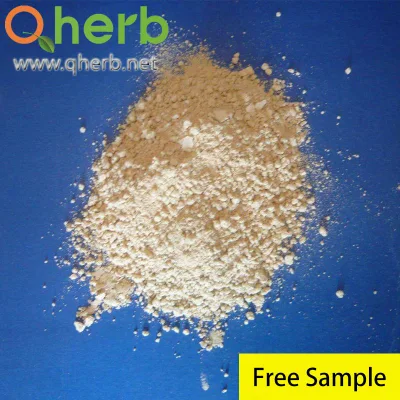 Astilbin 80% Engelhardtia Roxburghiana Extract for Liver Protection