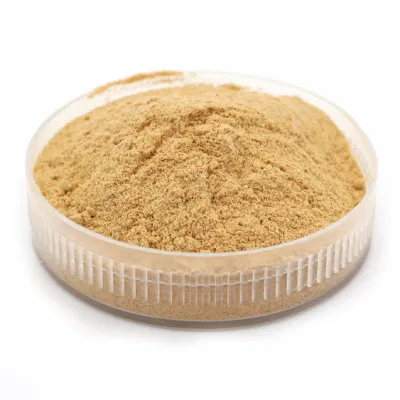 ISO Factory Echinacea Extract 4% Cichoric Acid Echinacea Purpurea Echinacea Extract Powder