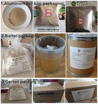 Hot Sell Product Dendrobium Nobile Extract Dendrobine Dendrobine 1% 98% CAS 2115-91-5