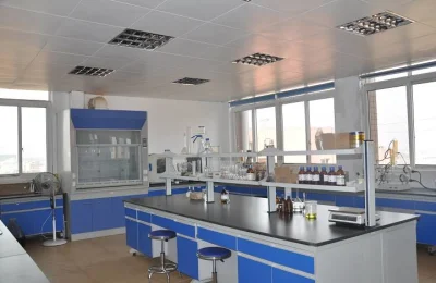 Hot Sell Product Dendrobium Nobile Extract Dendrobine Dendrobine 1% 98% CAS 2115-91-5