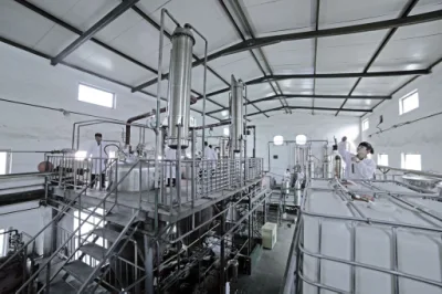 Factory Supply Natural Galangin 98% Powder with CAS 548-83-4