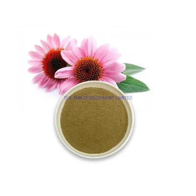 Root Extract 4% Cichoric Acid Echinacea Purpurea Food Grade Extract Chicory Acid