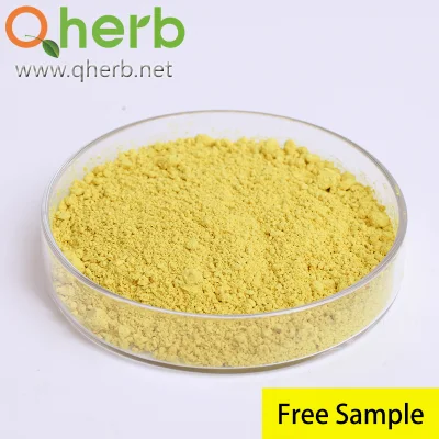 Herbal Extract 95% HPLC CAS 117-39-5 Quercetin Dihydrate