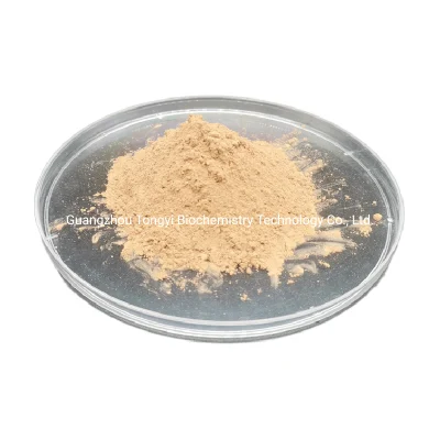 Manufacturer Supply High Quality CAS 70831-56-0 Cichoric Acid