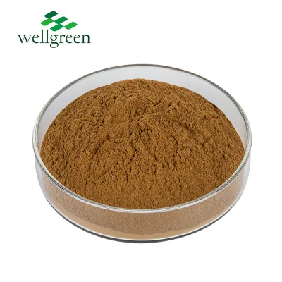 Spinosae Ziziphus Jujuba Mill Seeds Polvo Spine Date Seed Extract Jujuboside