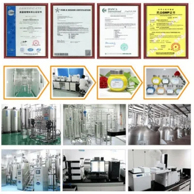 Free Sample Sanchinoside Saponins Sanchi Panax Notoginseng Root Extract