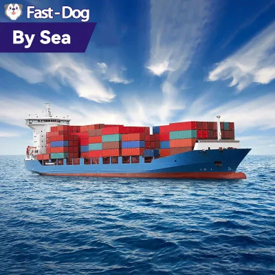Drop Shipping Cheapest FCL LCL Cargo Shipment by Cargo Shipping China to Philippines Brunei Afghanistan Kabul UAE