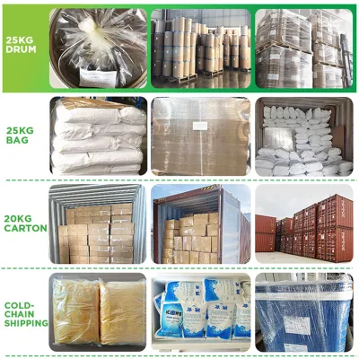 Factory Price Cycloastragenol Astragalus Root Extract 98% Cycloastragenol Powder