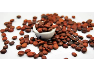Spine Date Seed Extract Ziziphus Jujube Extract Powder Jujubosides